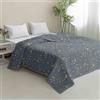 Hiseng Trapuntato Copriletto Primaverile Estivo, Mezza Stagione Trapunta Singolo, Copriletto Microfibra Trapunta, Goffrato Coperta per Matrimoniale (Stella Luna,135x200cm)