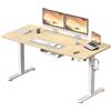 Airfish Scrivania Regolabile in Altezza 140×80cm, Scrivania Regolabile Elettricamente con Presa USB-C e Custodia Integrata per Cavi