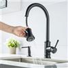 LakeBayMZC Rubinetto Lavello Cucina 2 Modelli di Spruzzo,Rubinetto da Cucina con Beccuccio Flessibile, Girevole a 360°Miscelatore Monocomando per Cucina,G3/8 Pollici