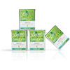 Pastiglie Leone Leone dal 1857 - Orsetti Gommosi Leone Mojito - Scatoletta Caramelle Leone Gommose - Gusto Mojito Senza Glutine e Vegane - 4 scatolette da 25g (4 x 25g)