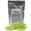 Naturegrail Umibudo Sea Grapes - Deliziosa Alga Verde Caviale - Uva Marina Disidratata In Salamoia (Peso Netto: 50g, Rende 1/2 Libbra Una volta Ammollata)