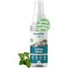 AmeizPet Spray all'Erba Gatta per Gatti, 50 ml (1,69 fl oz) | Spray per Gatti che Graffiano, Spray Comportamentale Trasparente per Gatti e Gattini, Uso Interno & Esterno