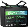 Dyness Batteria LiFePO4 12V 100Ah, Mini Batteria al Litio con BMS 100A, Protezione a Basse Temperature, per Nautica, Camper, Impianti Solari off-grid, Fotovoltaico Accumulo