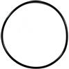 Zodiac O-ring per coperchio Boreal Zodiac