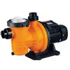 Glong Pompa per piscina mono 1,5 HP 1,1 kw FCP1100S2