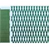 Fraschetti Traliccio in plastica verde 2x1MT