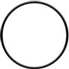 Zodiac Guarnizione prefiltro bluflo