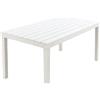 Fraschetti Tavolo resina Sumatra dogato 138x80 bianco