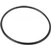 Emaux O-ring coperchio prefiltro pompa WSS