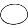 Intex Guarnizione per coperchio prefiltro pompa 11823