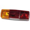 Fanale posteriore sx con luce targa