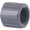 AstralPool Manicotto di allacciamento filetto interno 3/4"