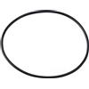 BWT Guarnizione o-ring per coperchio pompa WP7/8000