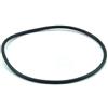 Astral pool O-RING per pompa Maxim D.124x3,5 mm Astralpool