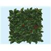 Fraschetti Siepe simil platano in quadrotti 50x50cm