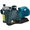 Calpeda Pompa x piscina e idro. 1,5hp 1,1kw 30m3/h MPCM 51