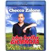 Blu-ray CHE BELLA GIORNATA con Checco Zalone nuovo sigillato 2010