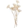 Angoily Diffusore di fiori, 8 pezzi, rose in rattan, per profumo e termico, bastoncini di ricambio per diffusore di aromi e bottiglie di vetro, 22 cm, decorazione floreale in legno