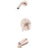 Pfister R89070K R89070K-Spazzola Moderno con 1 Maniglia per Vasca e Doccia, Finiture Solo Meno, Nichel Spazzolato