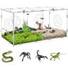 Betinyar Recinzione per ragni che saltano in acrilico con doppi scomparti, dimensioni grandi 40 x 20 x 19,8 cm, terrario per rettili, acquari, rettili, ragni, serpenti, lucertole