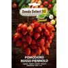 SEEDS SELECT PRO SPECIAL SEMI SEMENTI DI POMODORO ROSSO PIENNOLO IN BUSTINA