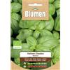 Blumen basilico italiano classico