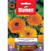 Blumen calendula a grandi fiori in miscuglio
