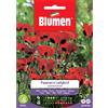 Blumen papavero ladybird commutatum