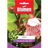 Blumen cappero