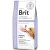 Brit Care Veterinary Diet Brit Veterinary Diet Gastrointestinal Aringa e Piselli per Cani - 12 Kg