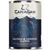 Canagan Salmon & Herring Supper Umido per Cani - 400 g, Singola