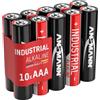 Ansmann Industrial Alkaline batteria Longlife alcaline batteria per alto potenza industriali (Confezione da 10)