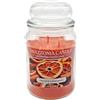 Amazzonia Candle Orange Cinnamon 530 Gr Candela Profumata Naturale in Cera di Soia doppio stoppino in cotone Profumatore per Ambiente arancio Decorativa Giara in Vetro Yankee village scents