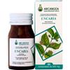 Arcangea Uncaria 500mg Integratore Alimentare 60 Capsule