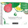 Zuccari Water First Kiwi Bergamotto Guava 12 Stick Pack