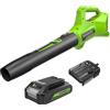Greenworks G24ABIIK2 Soffiatore Foglie Assiale a Batteria, 145km/h, 9,08m³/min Batteria 24V e Caricabatterie, Garanzia 3 Anni