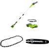 Greenworks Sega ad Asta a Batteria, Lunghezza Barra 8 Pollice (20cm) Batteria 40V 2Ah e Caricabatterie + Greenworks 20cm Catena + Greenworks 20cm barra a catena