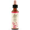SCHWABE PHARMA ITALIA Srl Elm Bach Orig 20 Ml