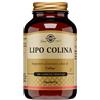 SOLGAR IT. MULTINUTRIENT SpA Lipo Colina 100 Capsule Vegetali