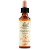 SCHWABE PHARMA ITALIA Srl Mimulus Bach Orig 20 Ml