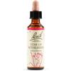 SCHWABE PHARMA ITALIA Srl Star Of Bethl Orig 20 Ml