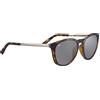 Serengeti Brawley Occhiali, Tort Classico Lucido, M Unisex-Adulto