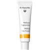 WALA ITALIA SRL HAUSCHKA CREMA MELISSA GG 30ML