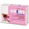Farmaderbe Echinutra orosolubile 12 buste
