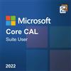 Microsoft Core CAL Suite User 2022