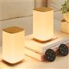 Bonsery Set di 2 lampade da comodino a LED con telecomando, 3000 mAh, dimmerabili, con 256 colori e 3 temperature di colore, luce notturna con timer e memoria