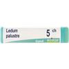 BOIRON Srl Ledum Palustre 5CH Globuli Omeopatici - 1g