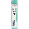 BOIRON Srl Ledum Palustre (Boiron) 80 Granuli 200 Ch Contenitore Multidose