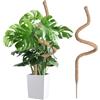Wigearss Bastone di Muschio, Palo Cocco Piante Sostegno Piante Supporti, Pieghevoli Fibra di Cocco, Tutore Muschiato per Monstera Rampicanti, 160cm