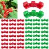 JAONLD Piegatrici per Piante 100 pezzi Supporto per Piante 90 Gradi Clip per Piante per Piegare i Rami Delle Piante e Cambiare la Direzione Della Crescita Delle Piante (Rosso e Verde)